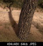 Click image for larger version

Name:  Stalker-DX11-2.jpg
Views: 46
Size:  63,8 KB