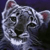 booaka's Avatar