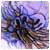 jessepgk's Avatar