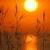 eterrakespene's Avatar